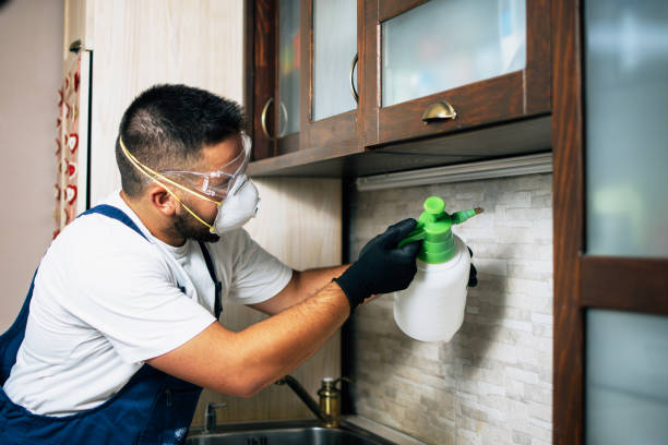 Best Pest Control Near Me in Good Hope, CA