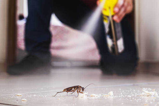 Best Wildlife Control Services  in Good Hope, CA